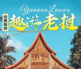 【趣游老撾 · 經(jīng)典版納】—昆明、普洱、西雙版納、磨丁、瑯勃拉邦四動(dòng)8日游